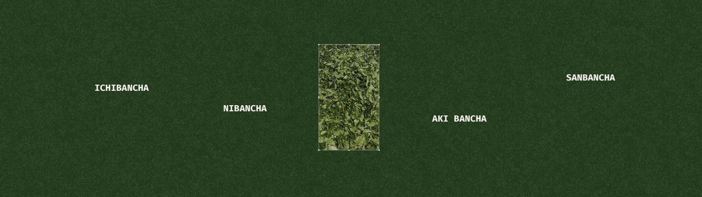 Matcha harvest season in Japan and why it matters