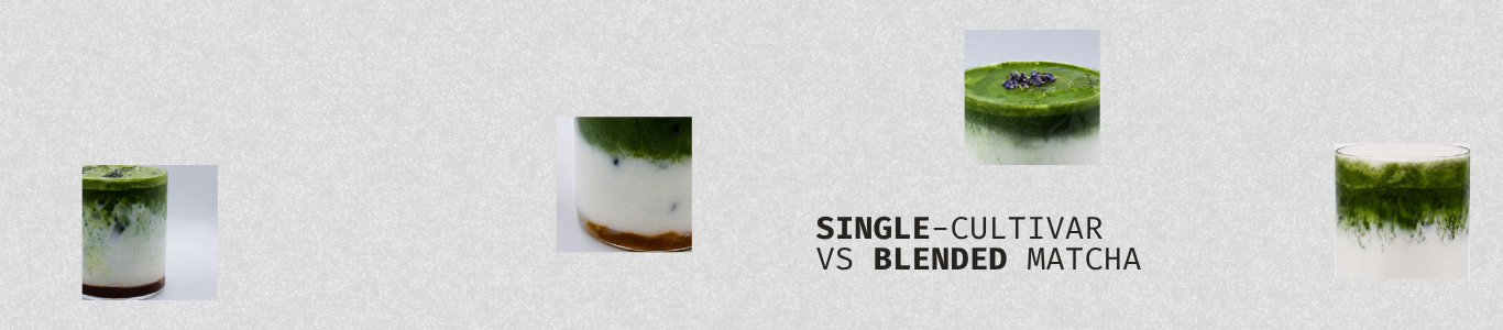 Single-Cultivar vs Blended Matcha: What’s the Difference?